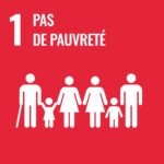 SDG 1