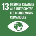 SDG 13