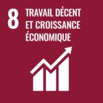 SDG 8